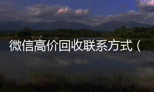 微信高价回收联系方在线24小时回收vx式（微信高价回收联系方式怎么写）